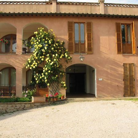 Agriturismo Vocabolo Palazzo Solomeo Eksteriør billede