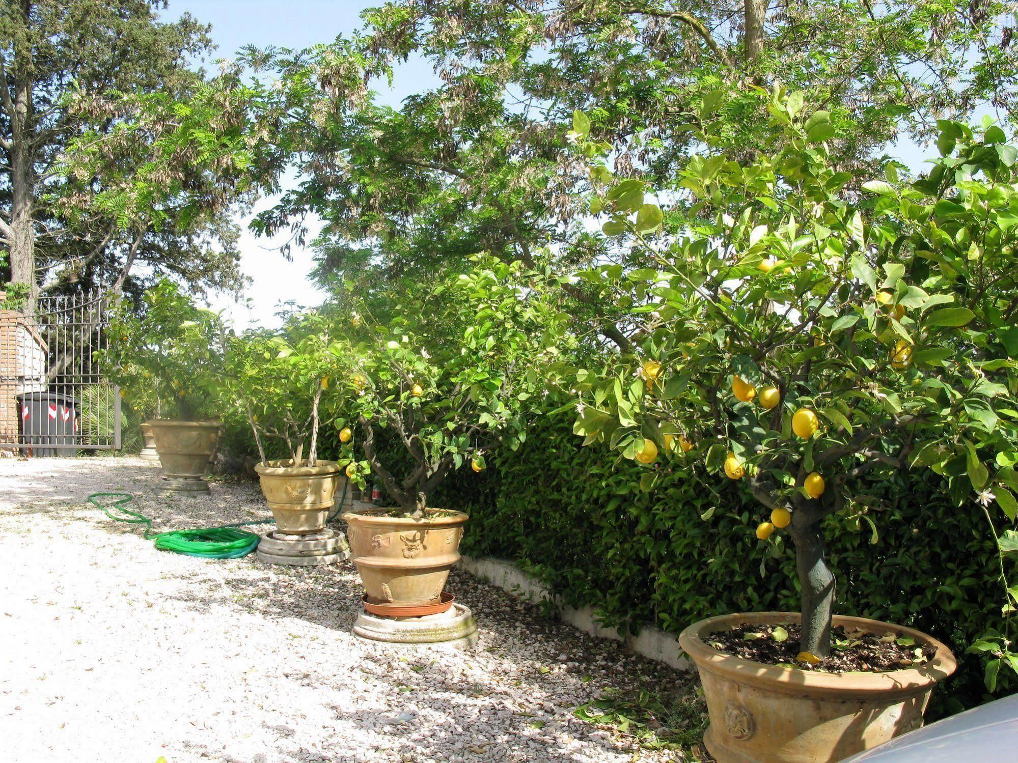 Agriturismo Vocabolo Palazzo Solomeo Eksteriør billede